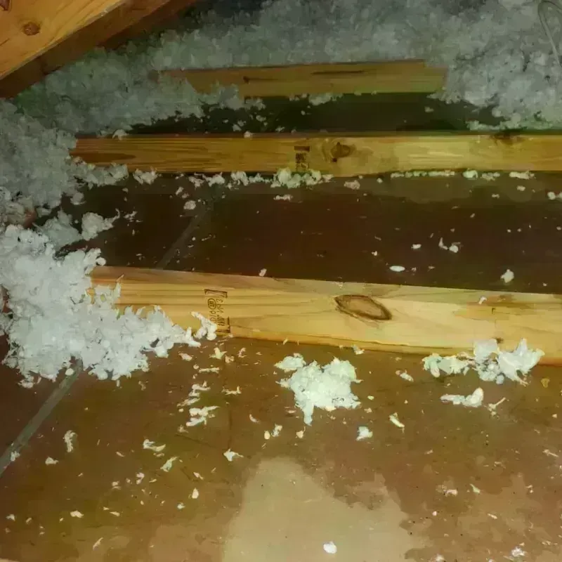 Attic Water Damage in Woodland Hills, CA